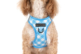 STEP-IN DOG HARNESS: Blueberry Gingham