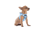 STEP-IN DOG HARNESS: Blueberry Gingham