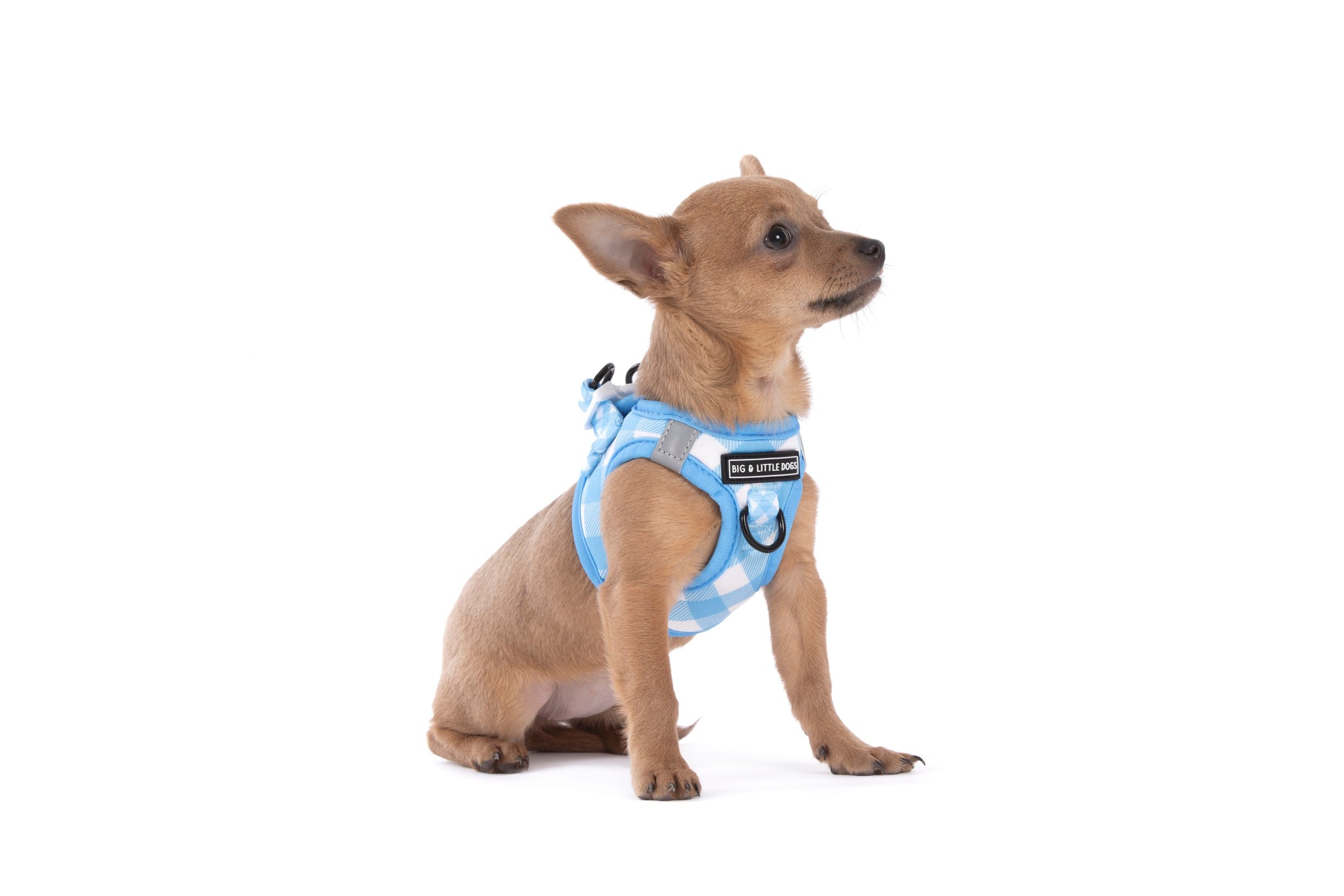 STEP-IN DOG HARNESS: Blueberry Gingham