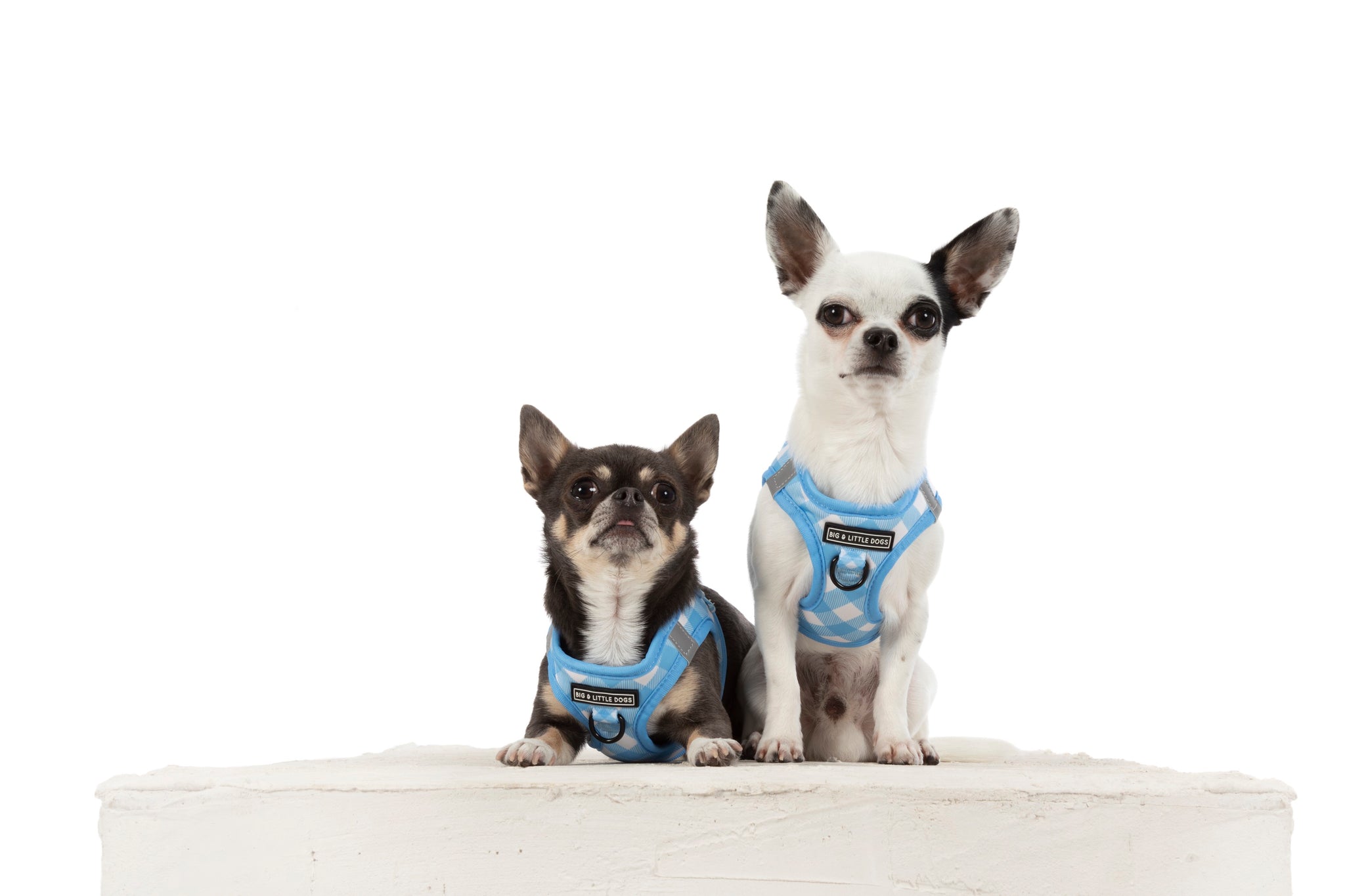 STEP-IN DOG HARNESS: Blueberry Gingham
