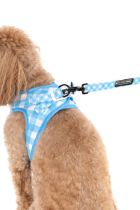 STEP-IN DOG HARNESS: Blueberry Gingham