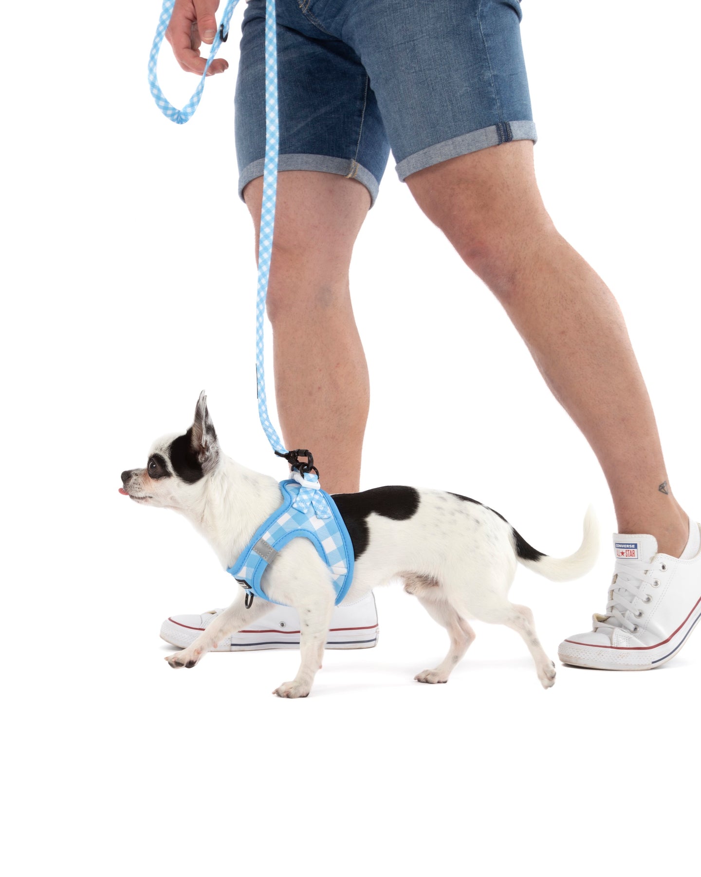 STEP-IN DOG HARNESS: Blueberry Gingham