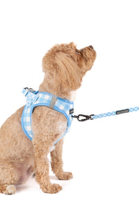 STEP-IN DOG HARNESS: Blueberry Gingham