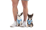 STEP-IN DOG HARNESS: Blueberry Gingham