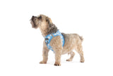 STEP-IN DOG HARNESS: Blueberry Gingham