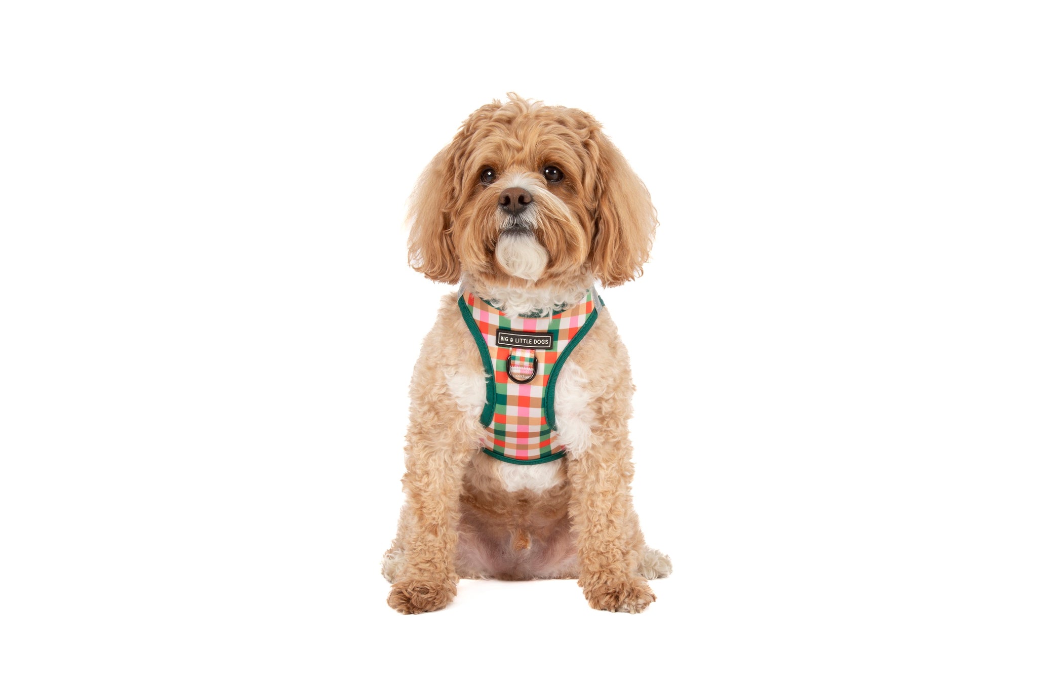 STEP-IN DOG HARNESS: Candy Lane Plaid