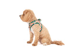 STEP-IN DOG HARNESS: Candy Lane Plaid