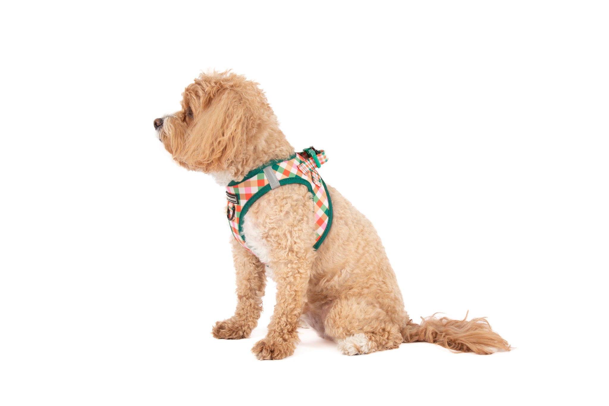 STEP-IN DOG HARNESS: Candy Lane Plaid