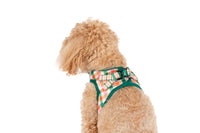 STEP-IN DOG HARNESS: Candy Lane Plaid