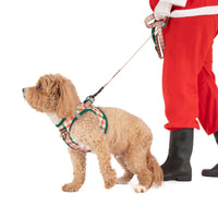 STEP-IN DOG HARNESS: Candy Lane Plaid