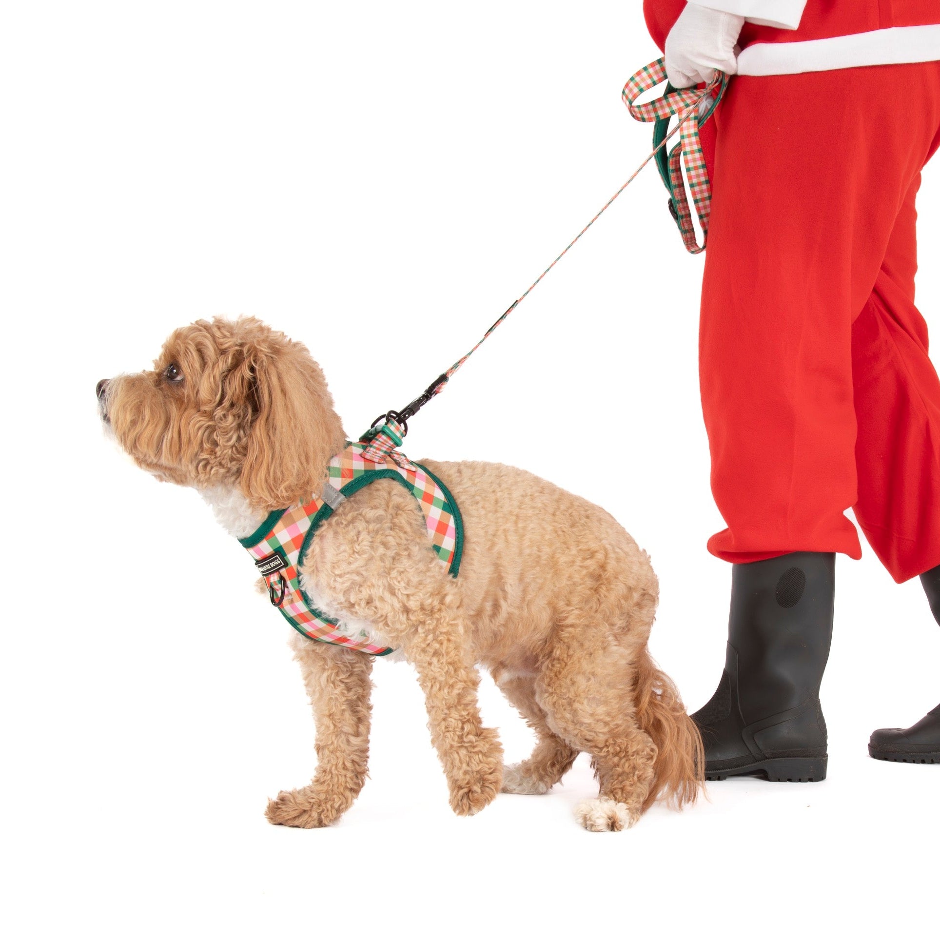 STEP-IN DOG HARNESS: Candy Lane Plaid