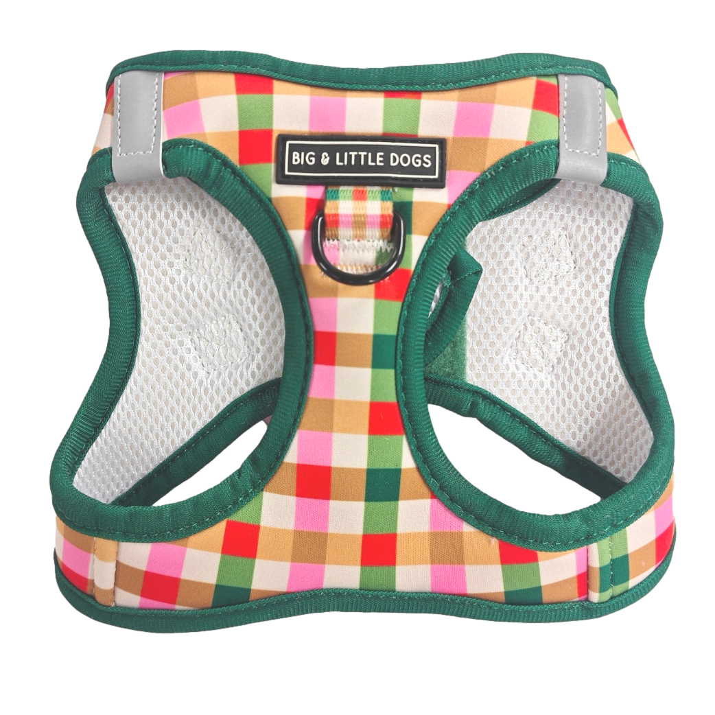 STEP-IN DOG HARNESS: Candy Lane Plaid