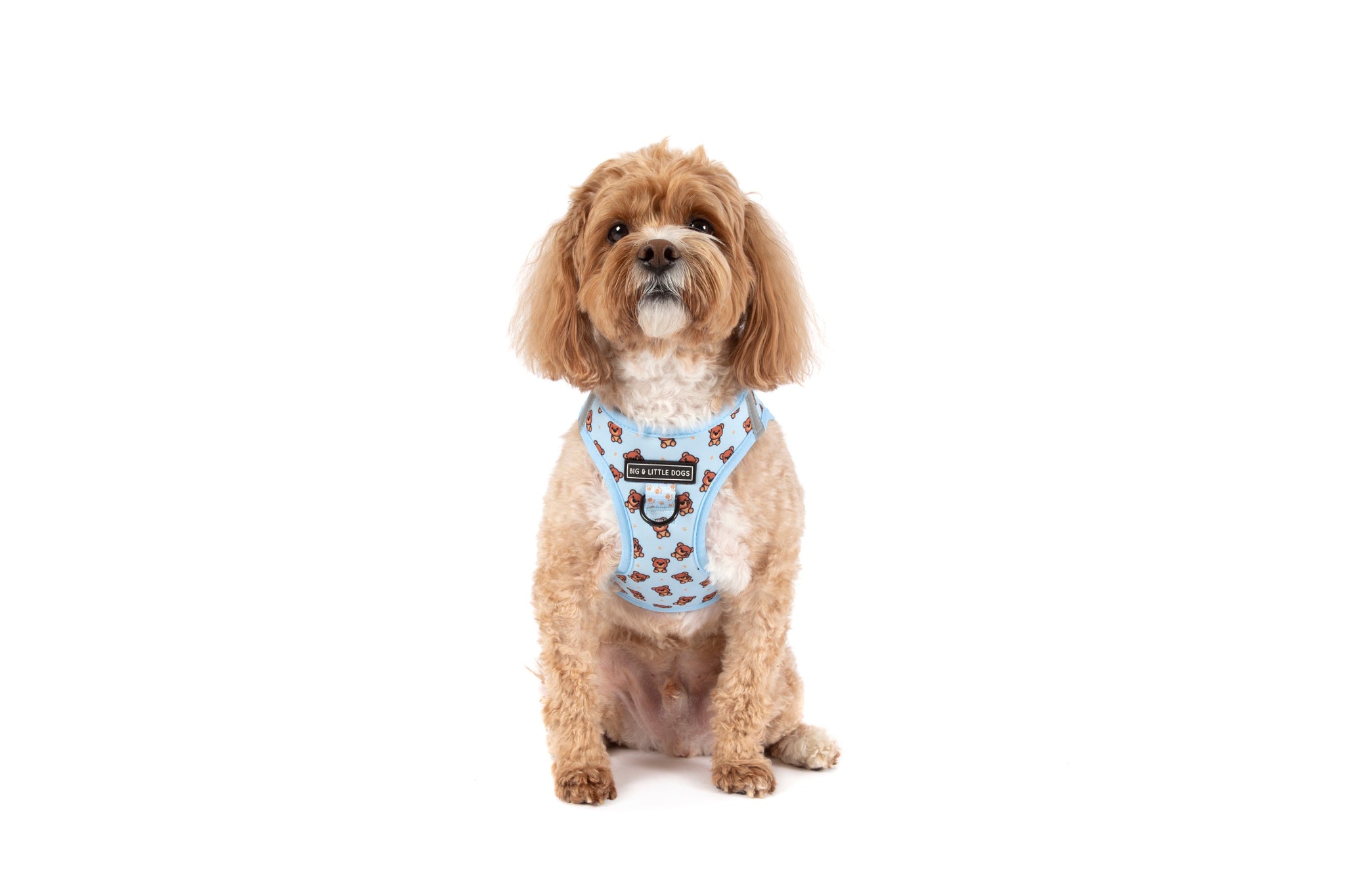 STEP-IN DOG HARNESS: Cuddle Club