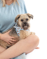 STEP-IN DOG HARNESS: Cuddle Club