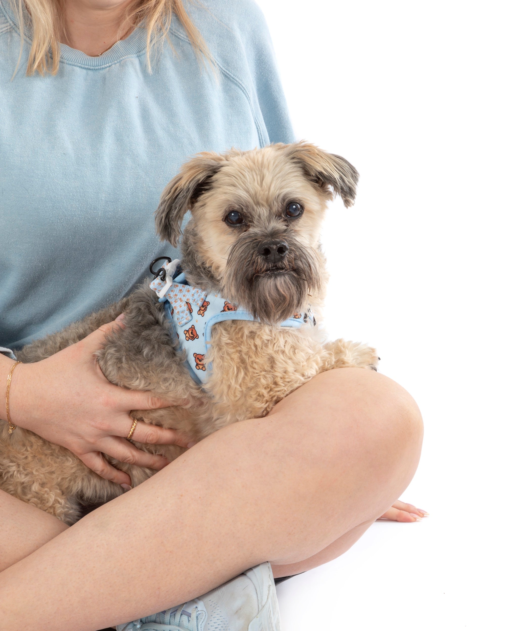 STEP-IN DOG HARNESS: Cuddle Club