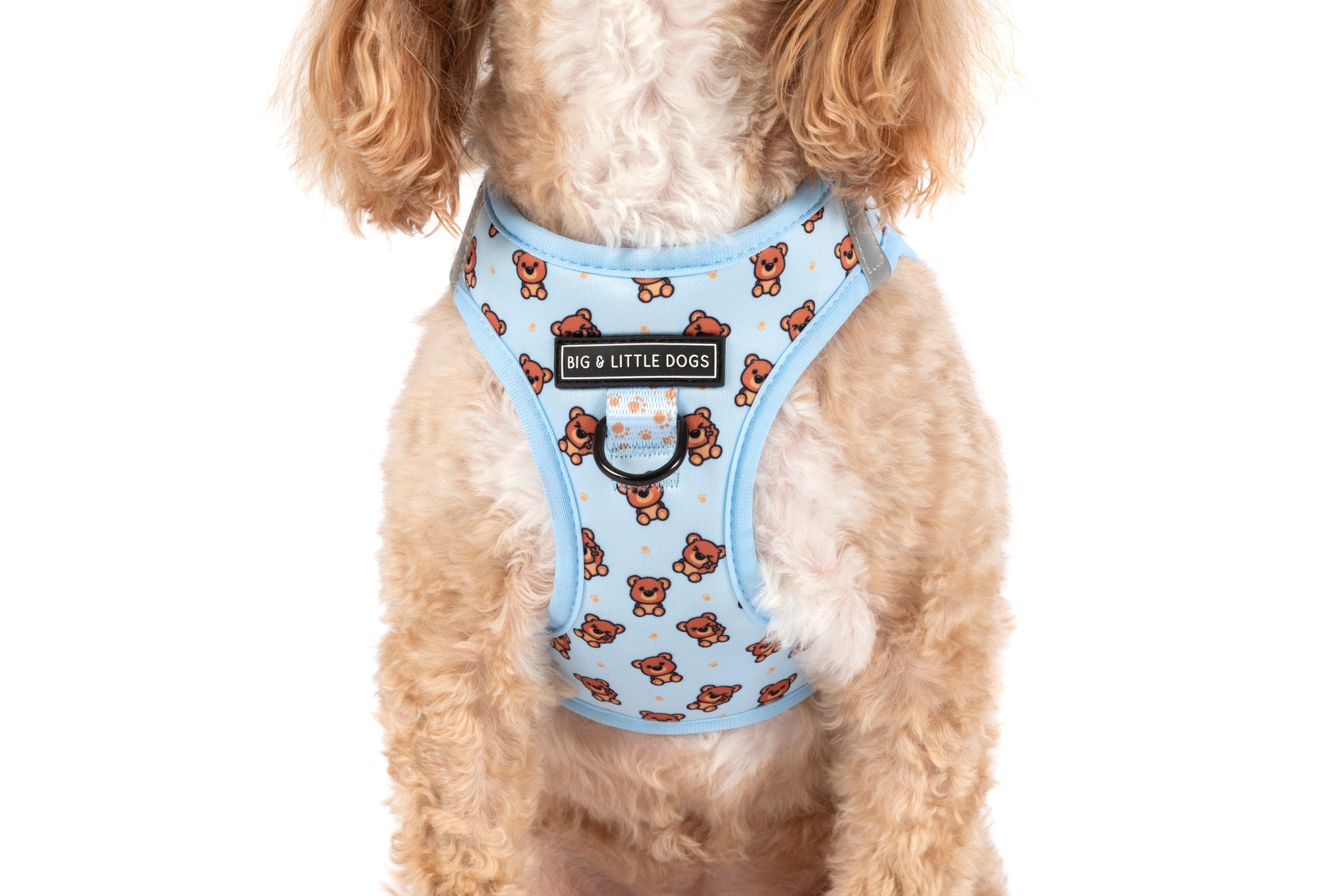 STEP-IN DOG HARNESS: Cuddle Club