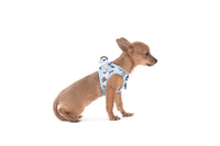 STEP-IN DOG HARNESS: Cuddle Club