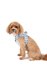STEP-IN DOG HARNESS: Cuddle Club