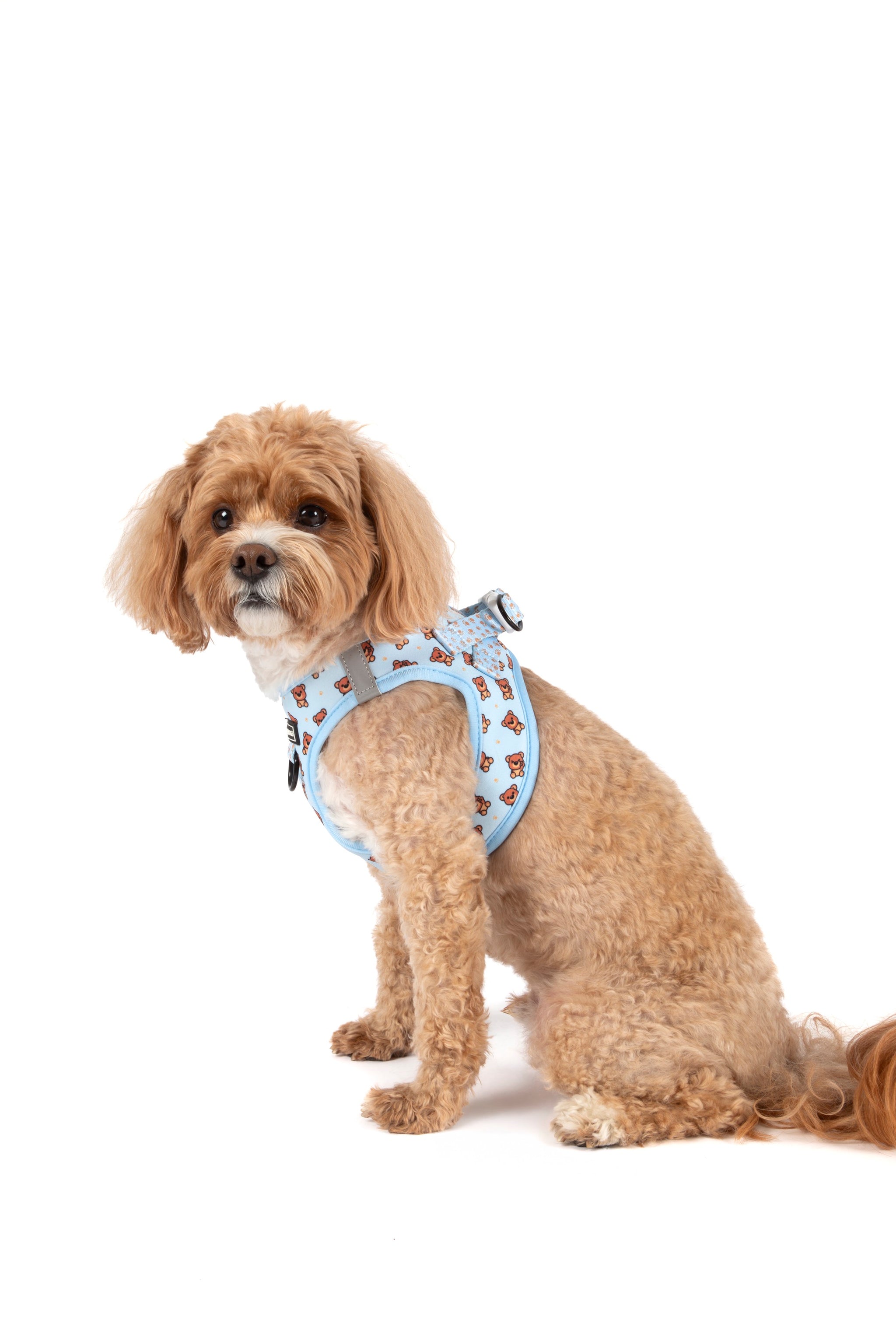 STEP-IN DOG HARNESS: Cuddle Club