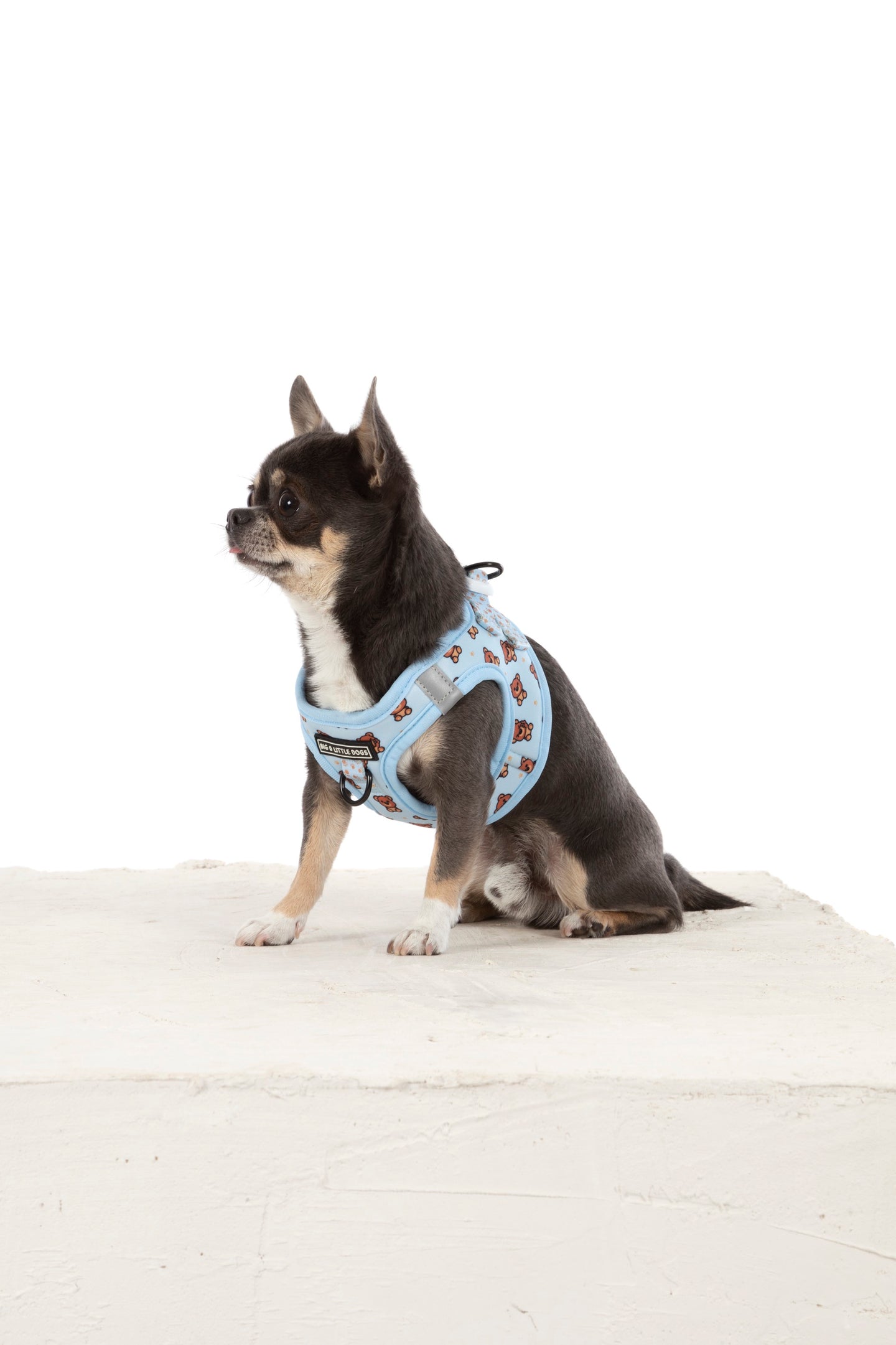 STEP-IN DOG HARNESS: Cuddle Club