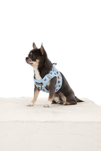 STEP-IN DOG HARNESS: Cuddle Club