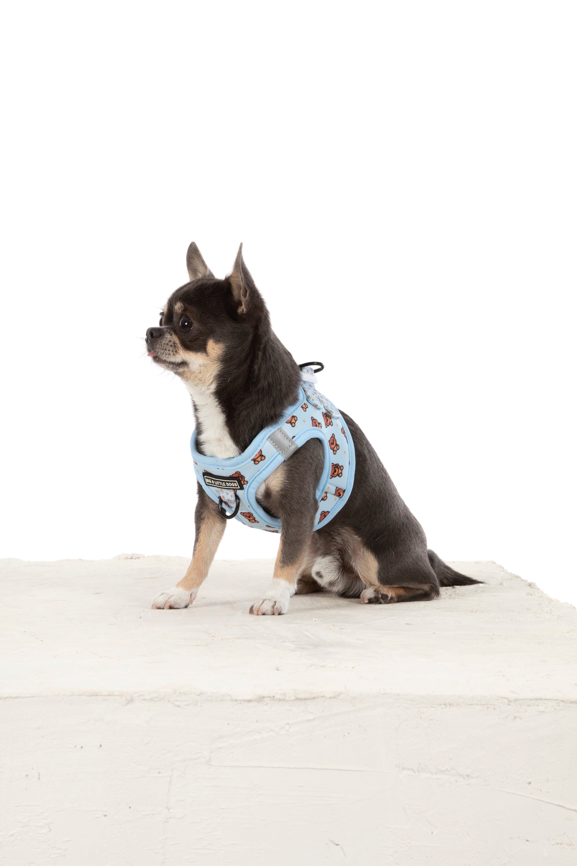 STEP-IN DOG HARNESS: Cuddle Club