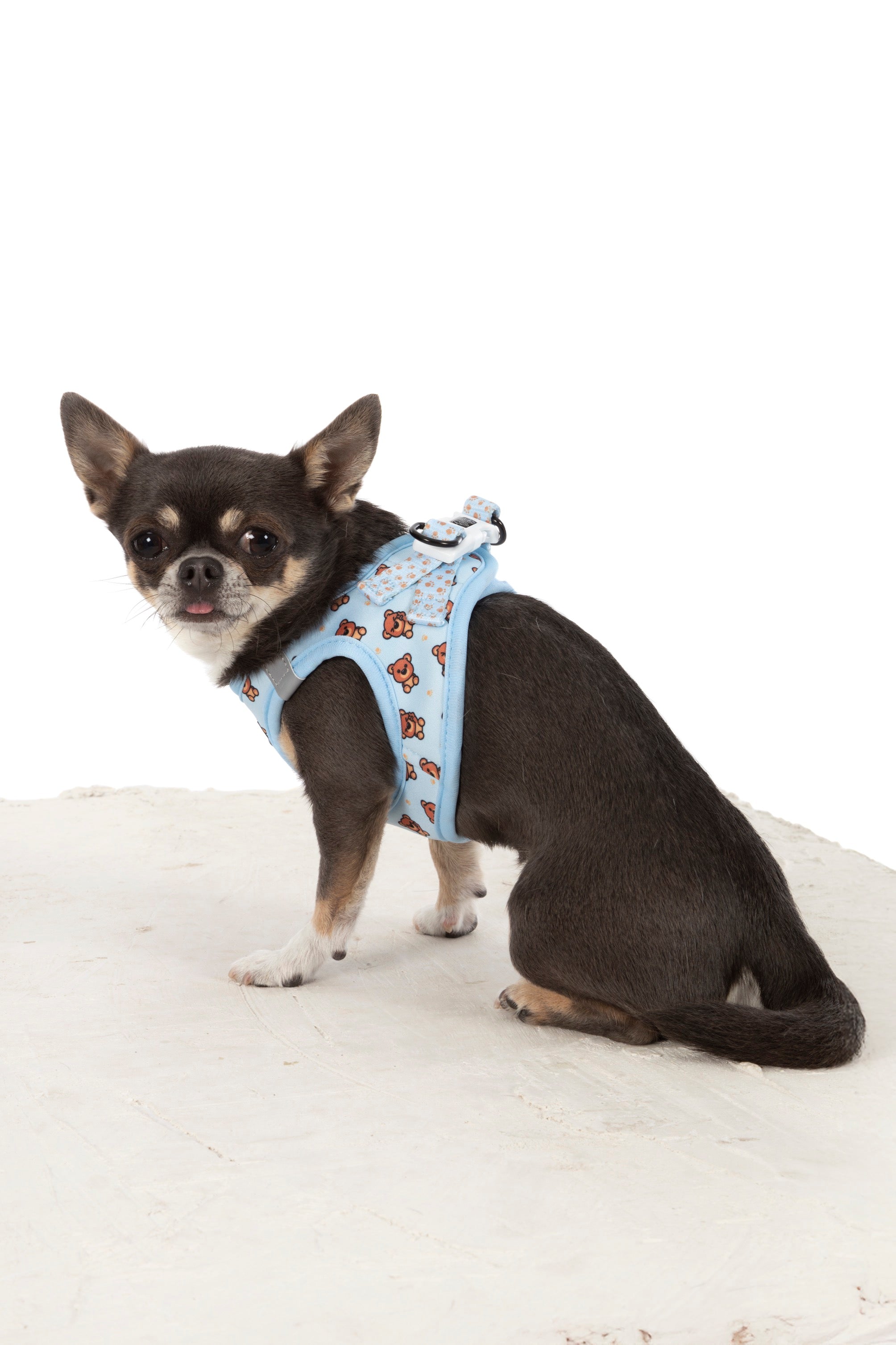 STEP-IN DOG HARNESS: Cuddle Club
