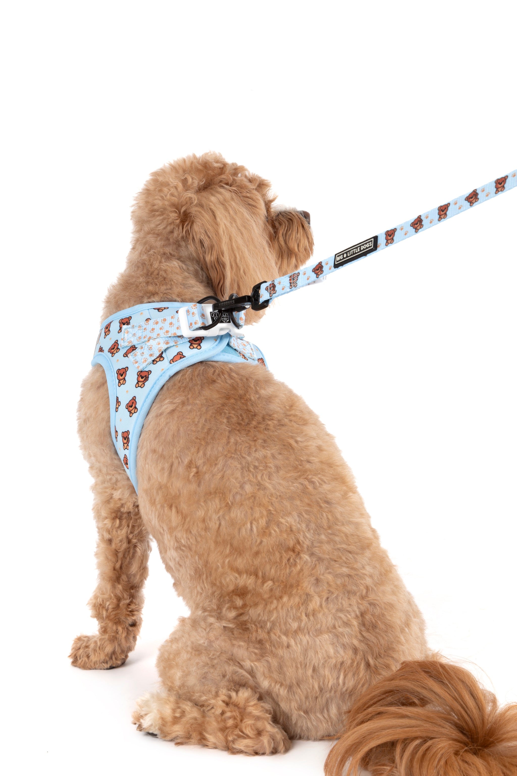 STEP-IN DOG HARNESS: Cuddle Club