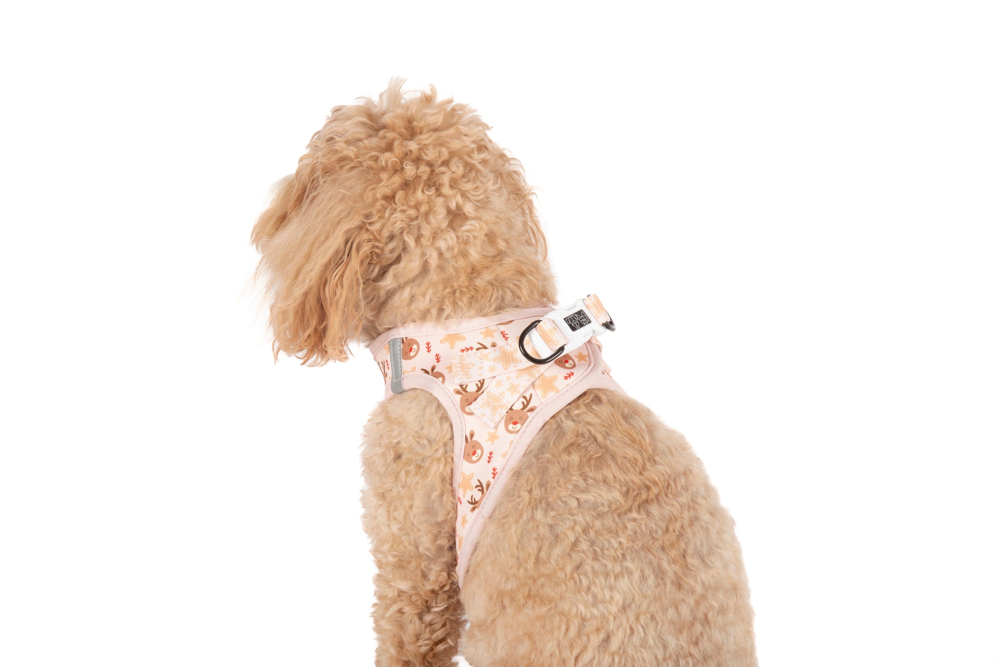 STEP-IN DOG HARNESS: Dashing Through The Stars