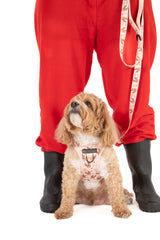 STEP-IN DOG HARNESS: Dashing Through The Stars