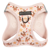 STEP-IN DOG HARNESS: Dashing Through The Stars