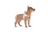 STEP-IN DOG HARNESS: Latte Gingham