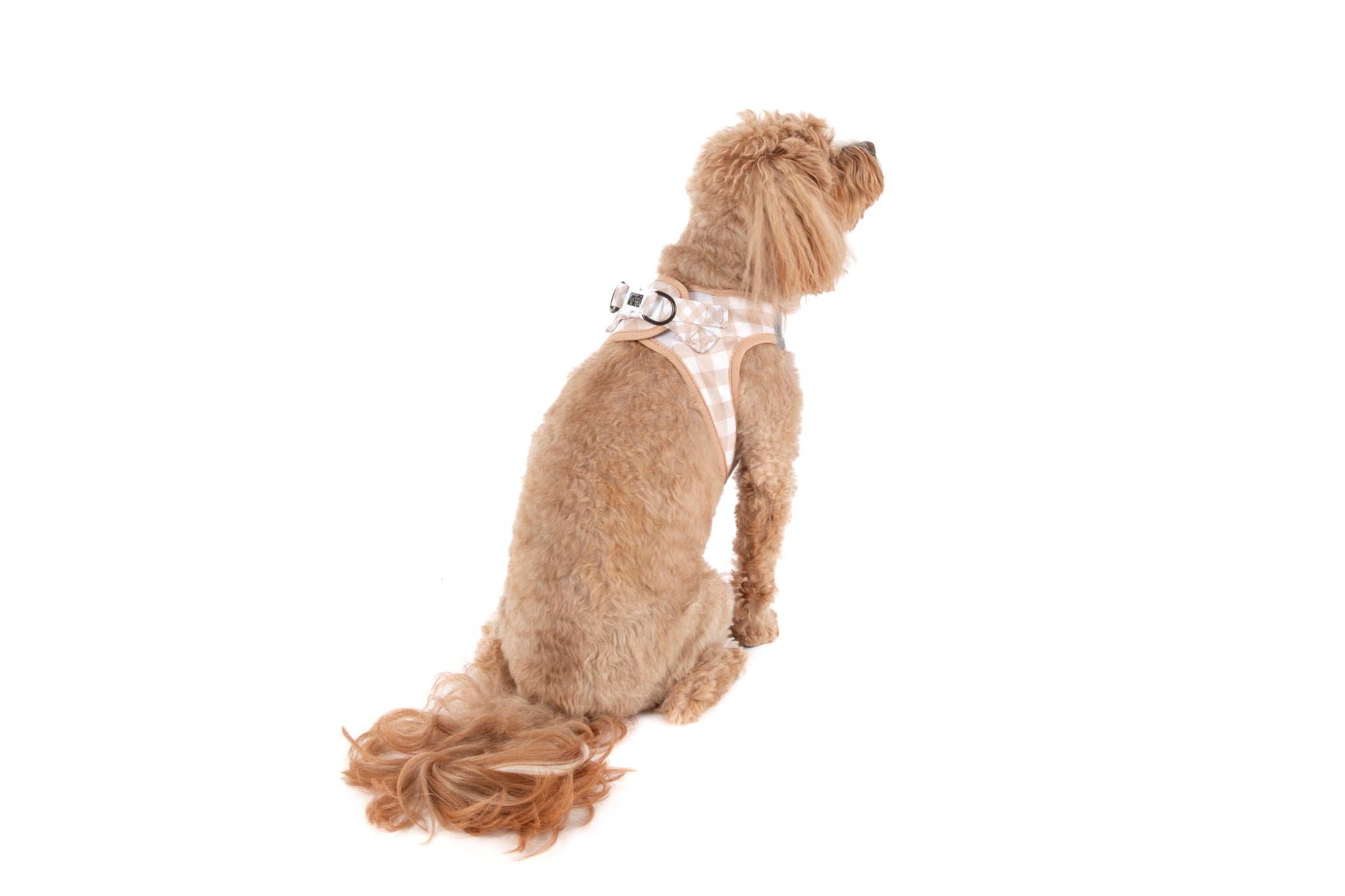 STEP-IN DOG HARNESS: Latte Gingham