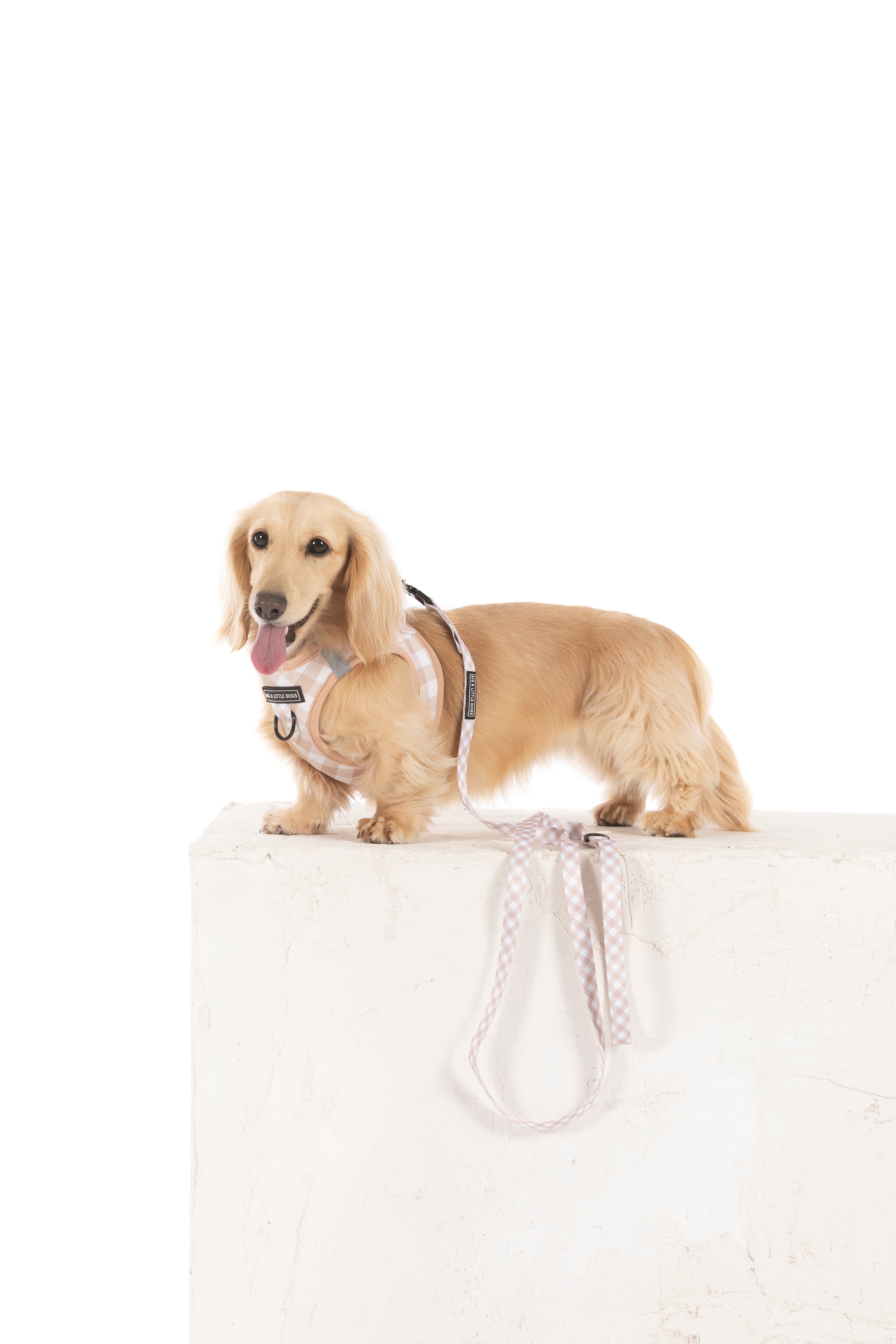 STEP-IN DOG HARNESS: Latte Gingham