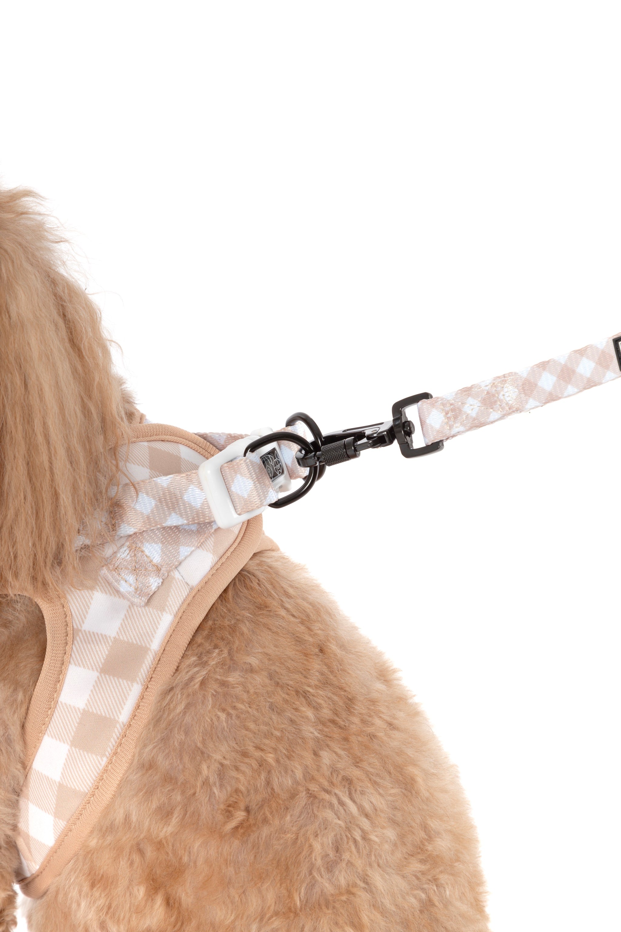 STEP-IN DOG HARNESS: Latte Gingham