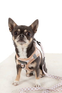 STEP-IN DOG HARNESS: Latte Gingham
