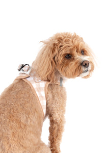 STEP-IN DOG HARNESS: Latte Gingham