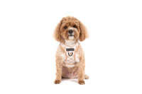 STEP-IN DOG HARNESS: Latte Gingham