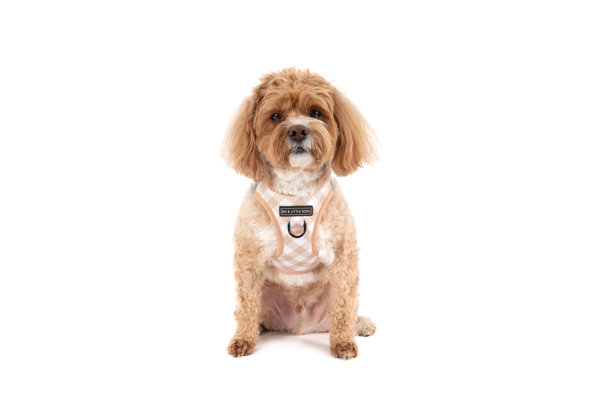 STEP-IN DOG HARNESS: Latte Gingham