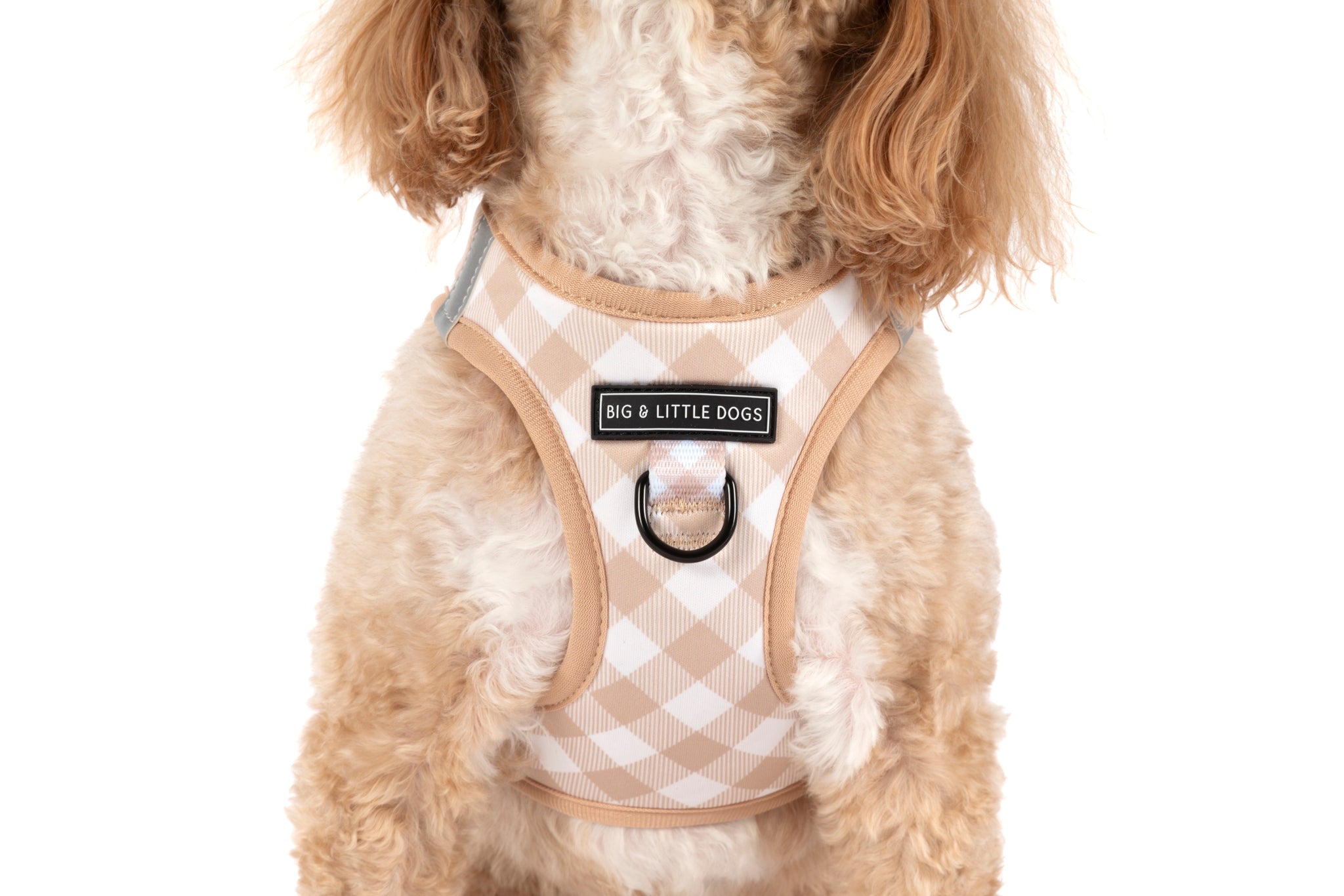 STEP-IN DOG HARNESS: Latte Gingham