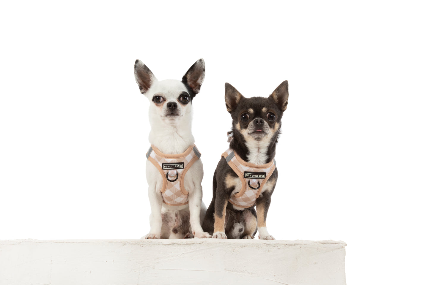 STEP-IN DOG HARNESS: Latte Gingham