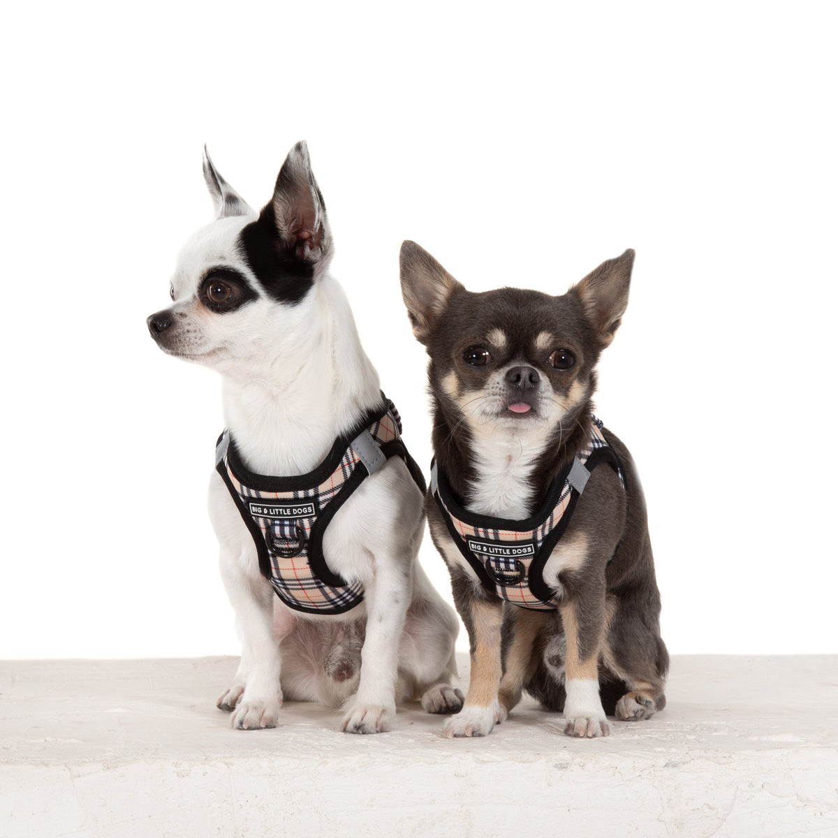 STEP-IN DOG HARNESS: Nova Plaid