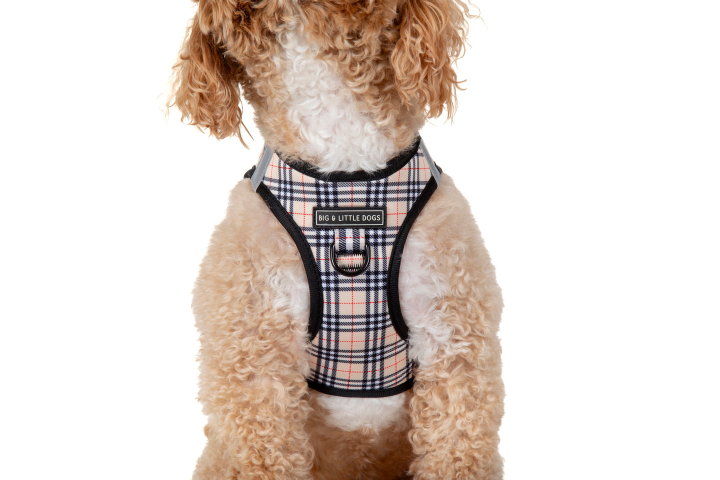 STEP-IN DOG HARNESS: Nova Plaid
