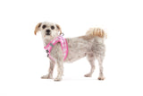 STEP-IN DOG HARNESS: Pink Milk Gingham