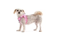 STEP-IN DOG HARNESS: Pink Milk Gingham