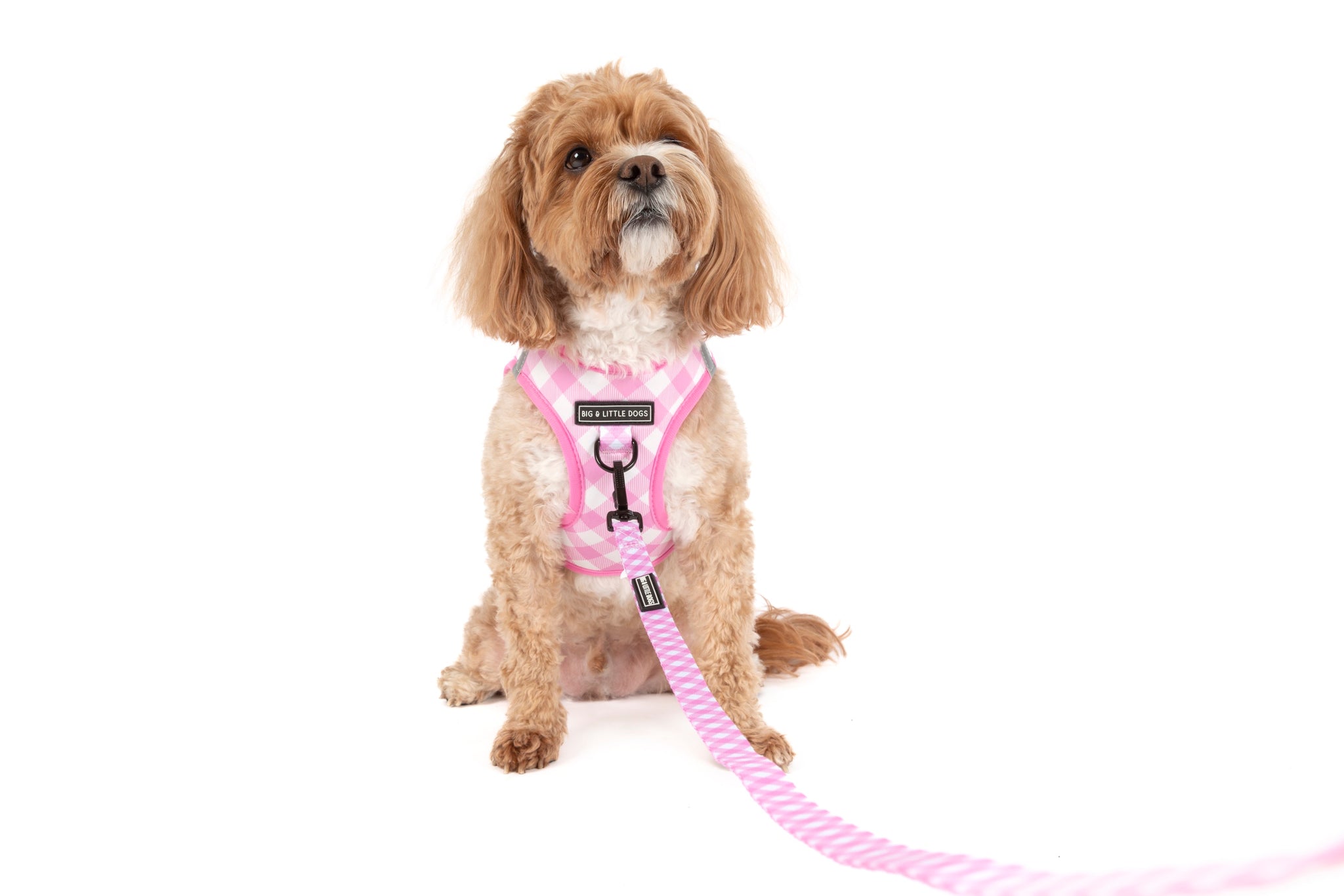 STEP-IN DOG HARNESS: Pink Milk Gingham