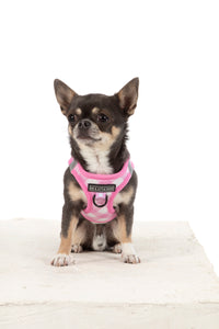 STEP-IN DOG HARNESS: Pink Milk Gingham