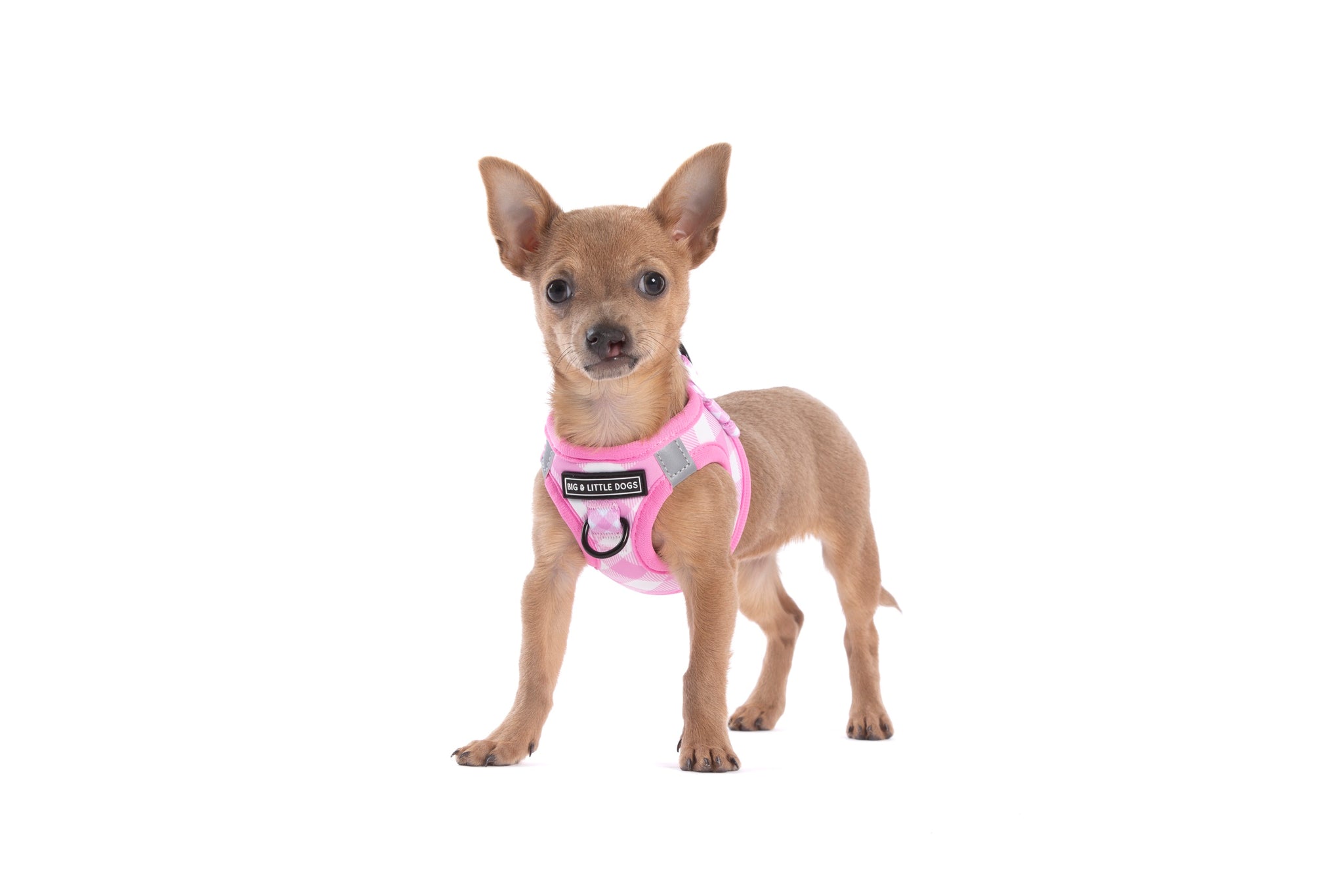 STEP-IN DOG HARNESS: Pink Milk Gingham