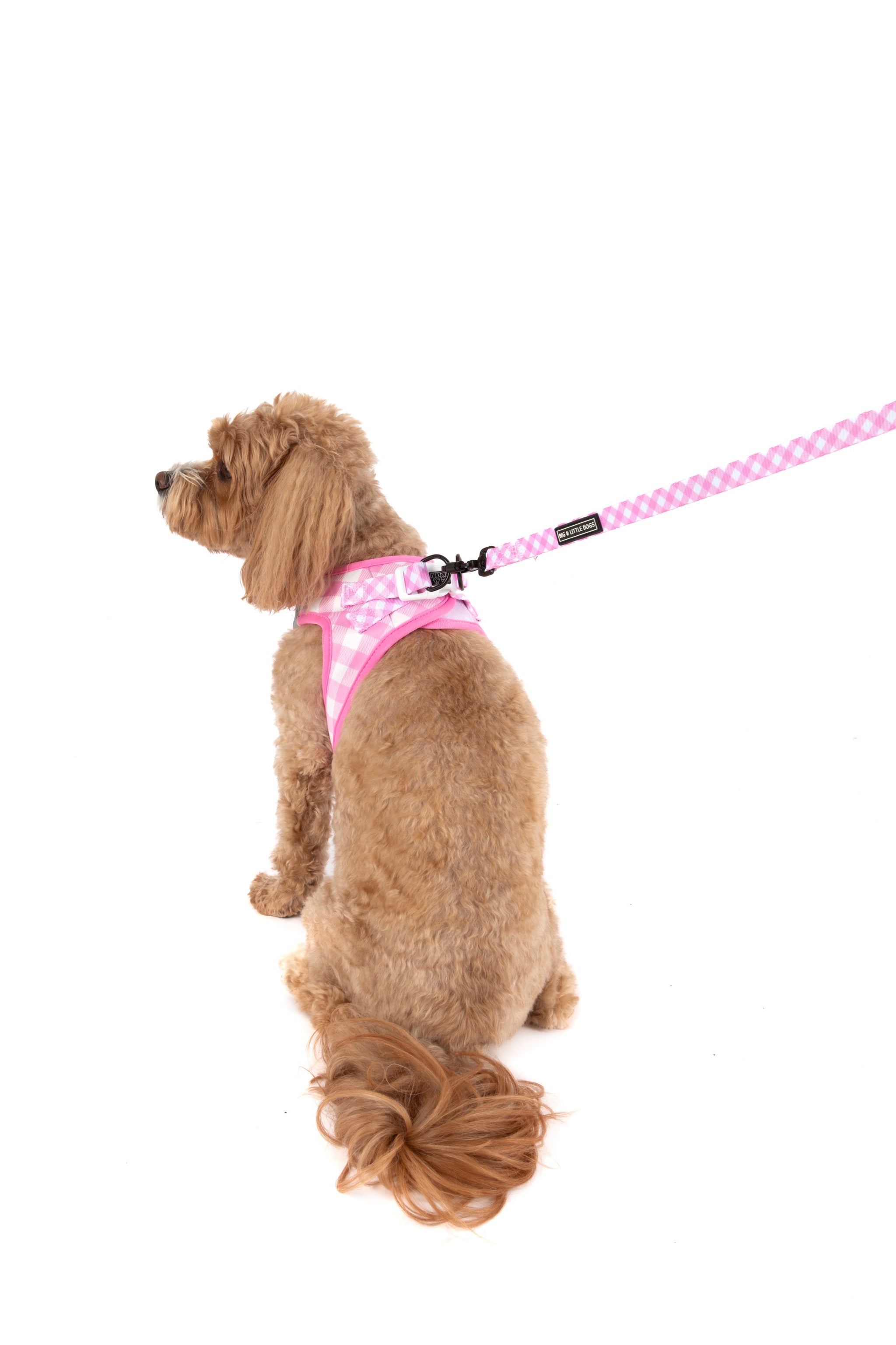 STEP-IN DOG HARNESS: Pink Milk Gingham