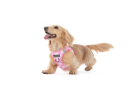 STEP-IN DOG HARNESS: Pink Milk Gingham